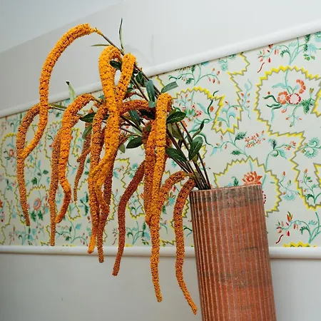 Dans Ancienne Ferme Avec Grande Terrasse Et Piscine 아파트